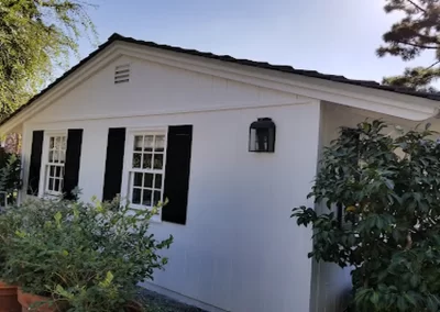 Professional Painter